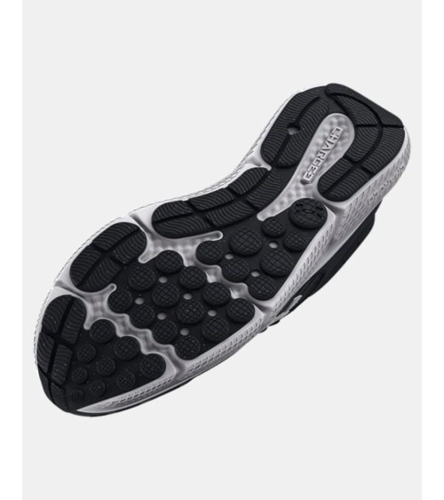 Under Armour Charged Assert 10 Laufschuhe | Jetzt online kaufen!