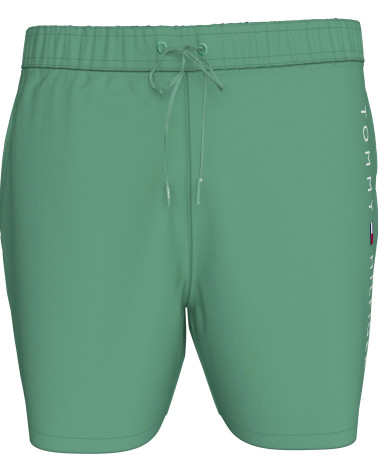 **Meta Title:** Pantaloni Bagno Uomo Verde/Blu Tommy Hilfiger | X