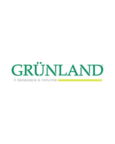 Grunland